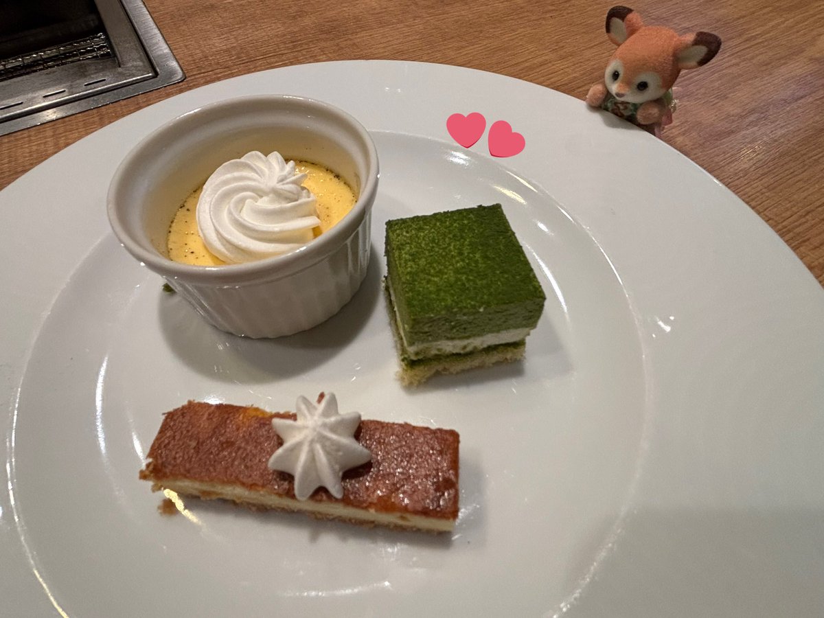 よもぎ🐶の飼い主 tweet media