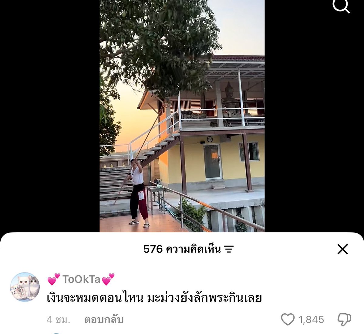 ` 마 크 잭 슨 . tweet media