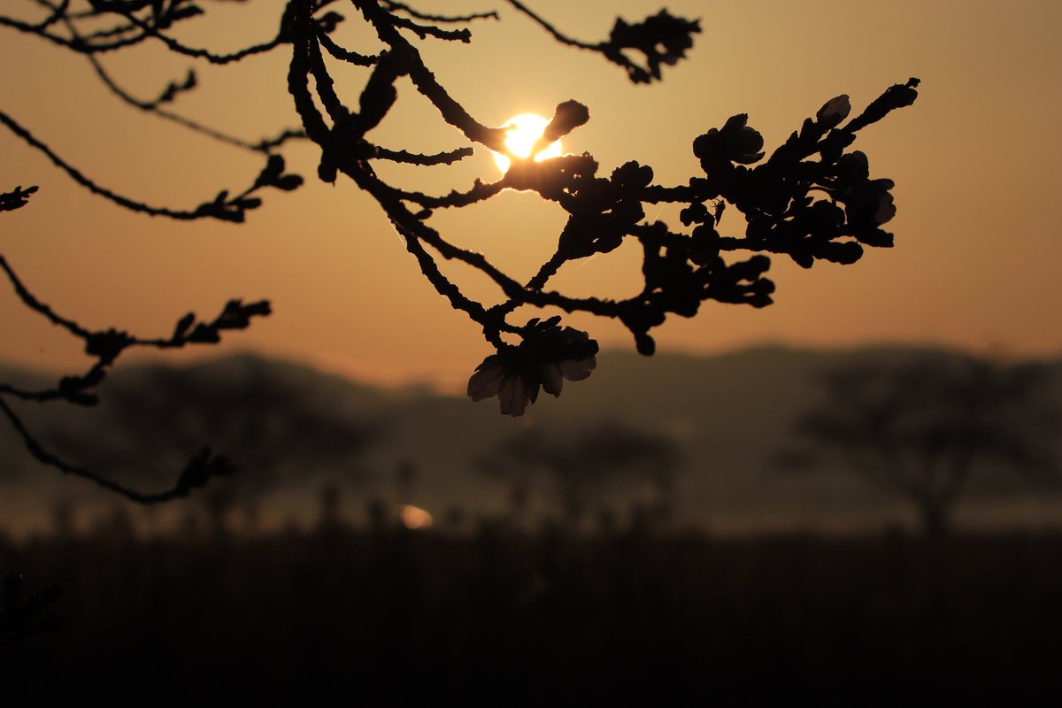 たけひで tweet media