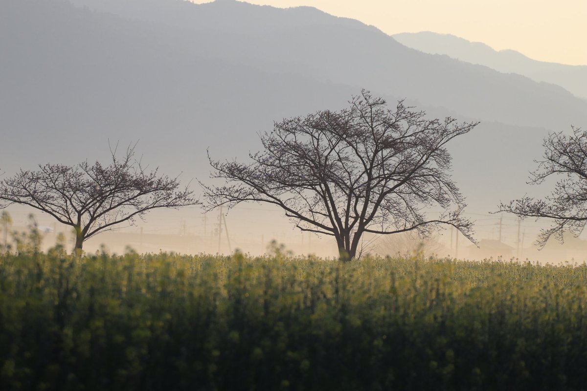 たけひで tweet media