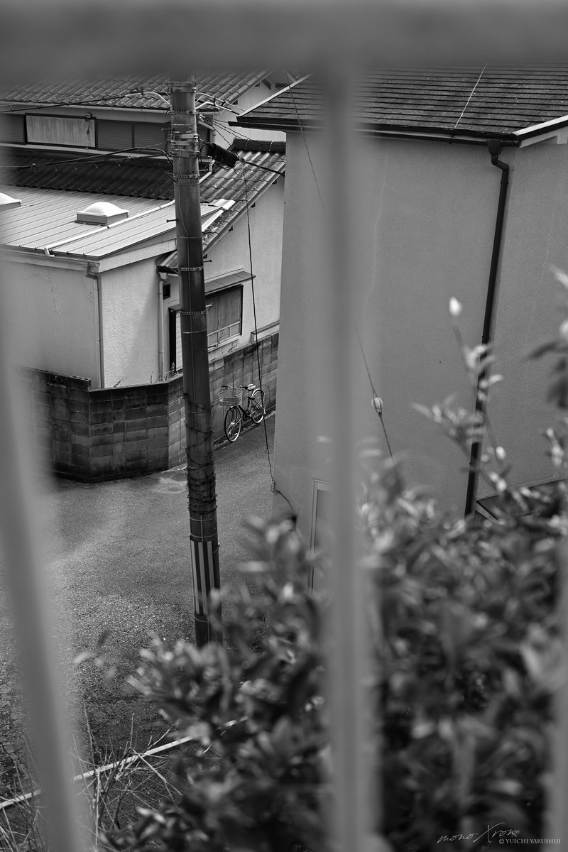 monoXron tweet media