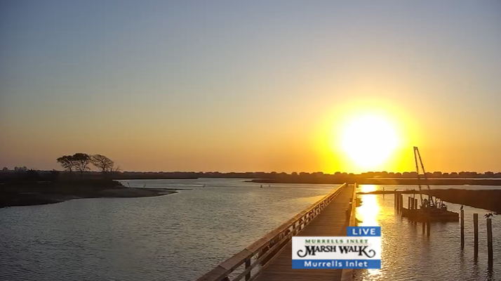 Simon Williams tweet media