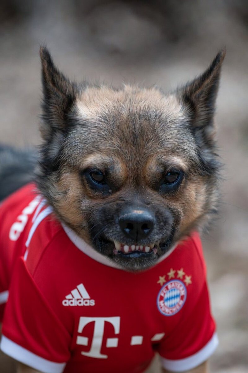 The Beekeeper tweet media