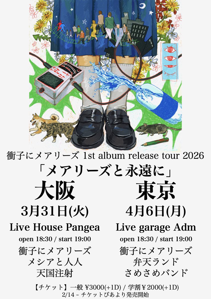 衝子にメアリーズ tweet media