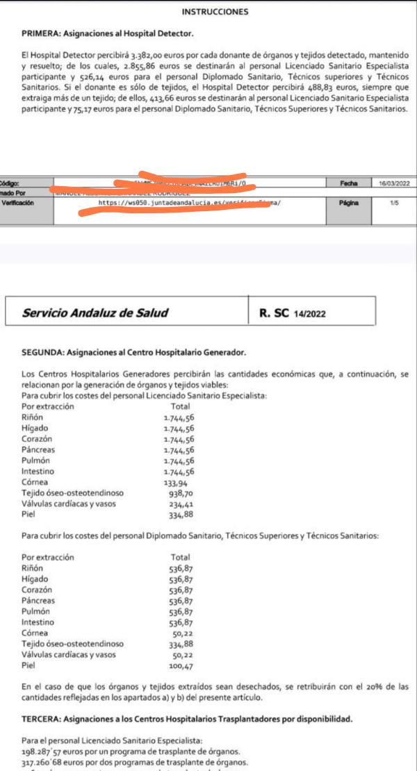 Joe Petoti tweet media