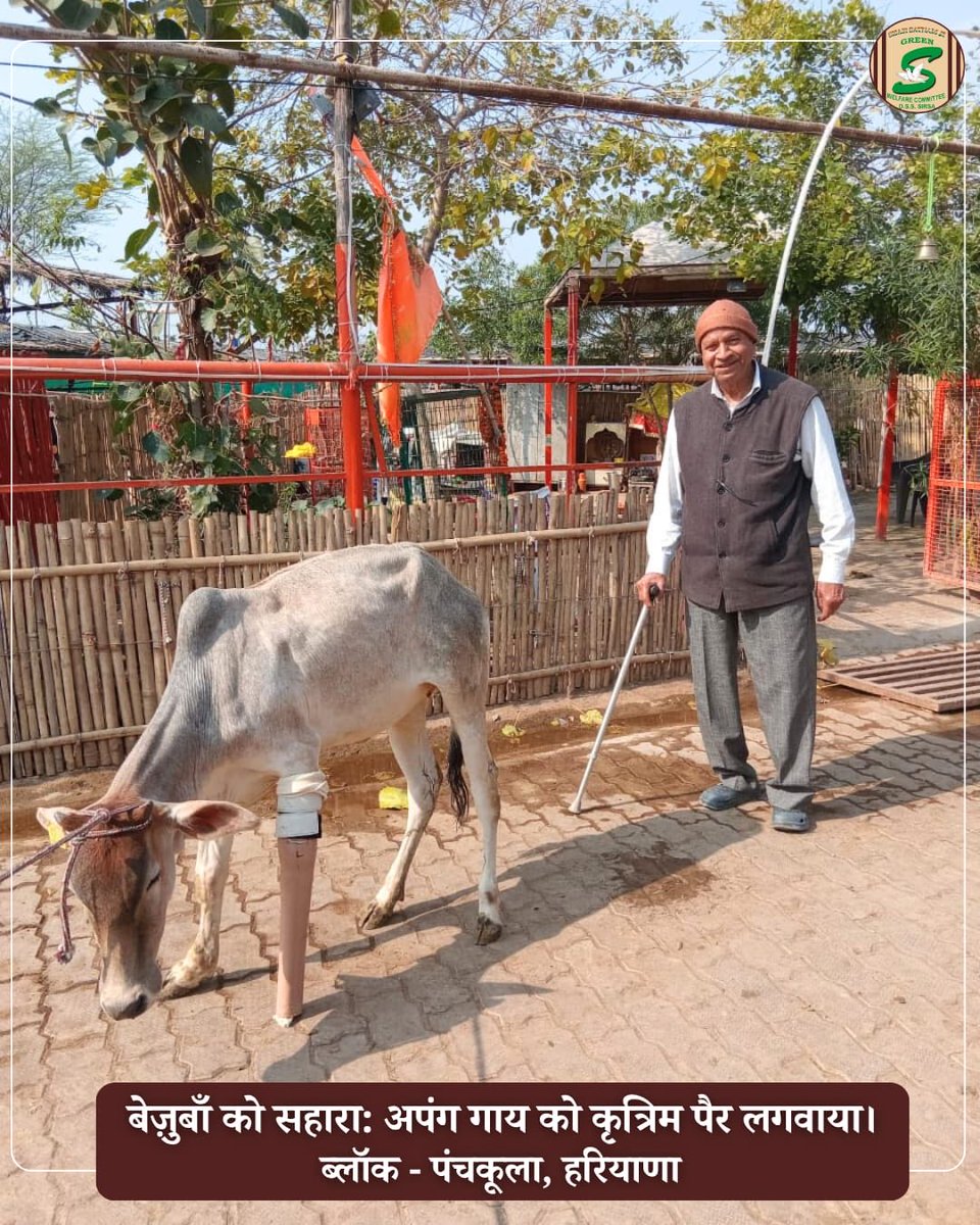 Shah Satnam Ji Green S Welfare Committee tweet media