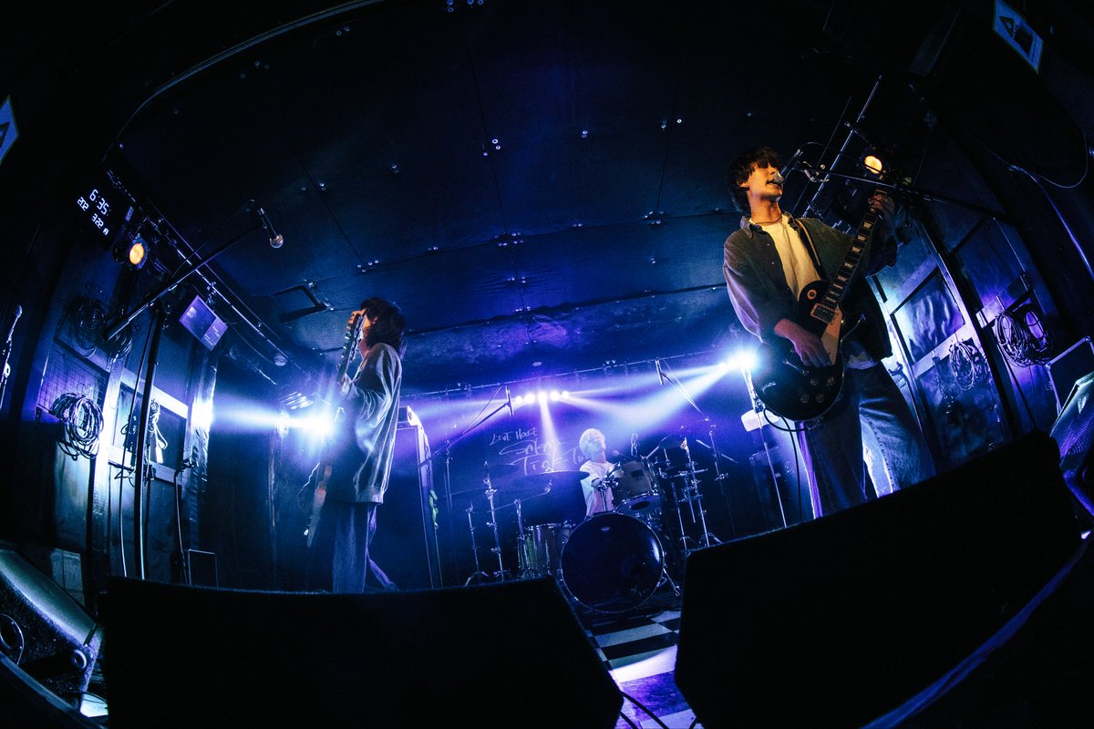 Louve noir (ルーヴノアール) tweet media