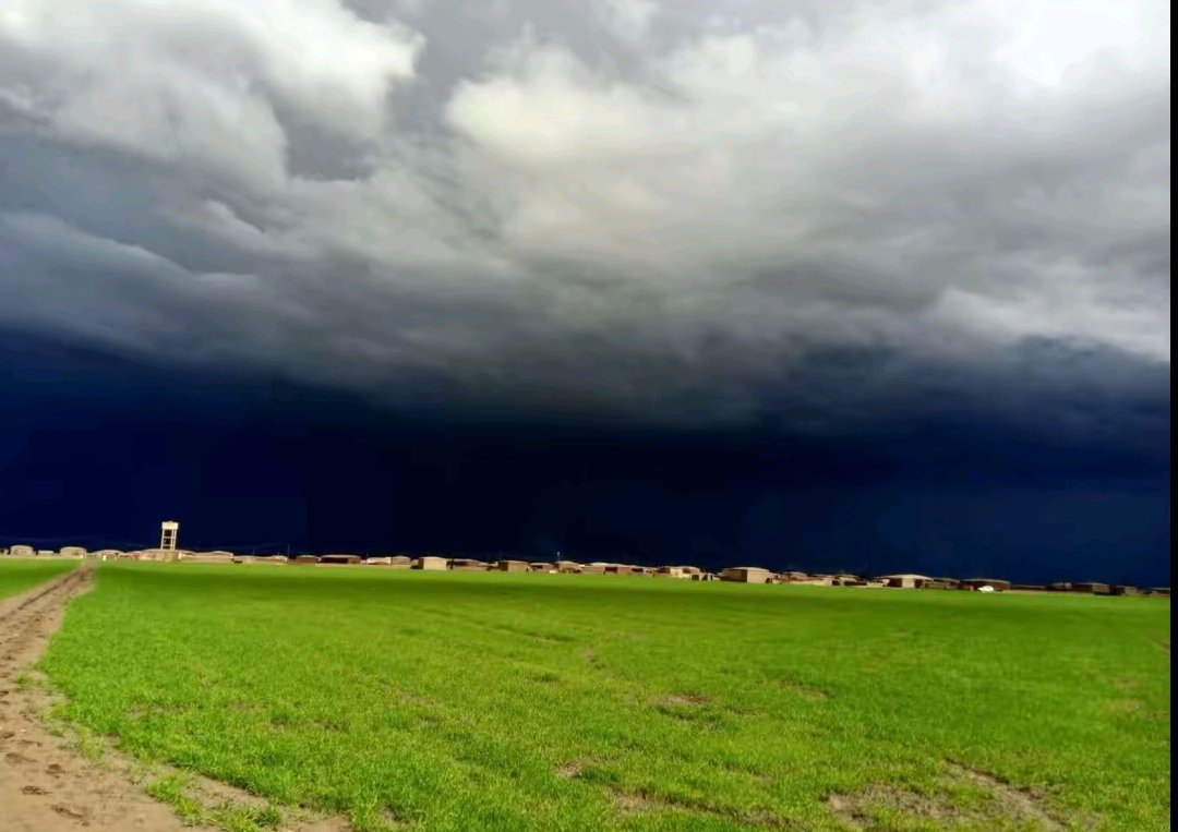 مِشْعَل العنزي🌿 tweet media