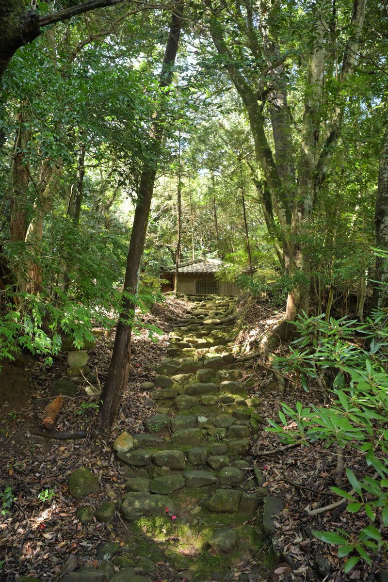 CosMix_Event　コスミク tweet media