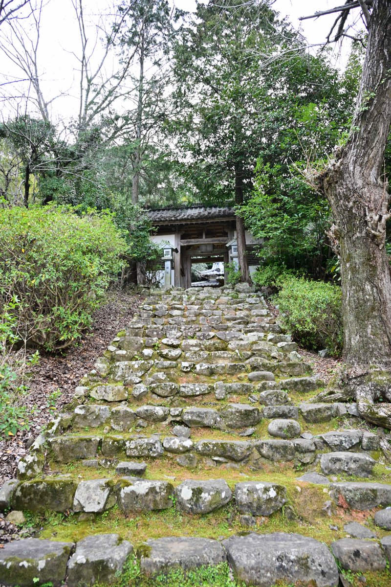 CosMix_Event　コスミク tweet media