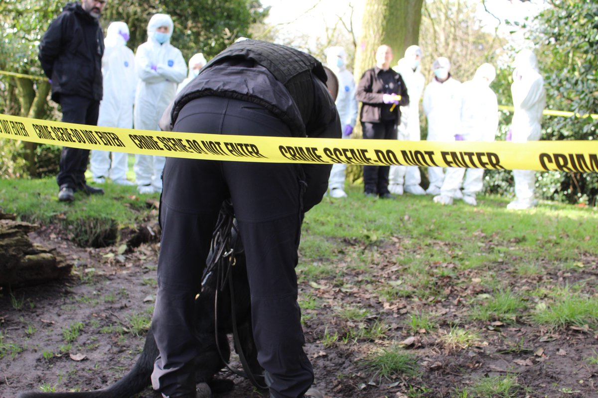 Everton in the Community tweet media