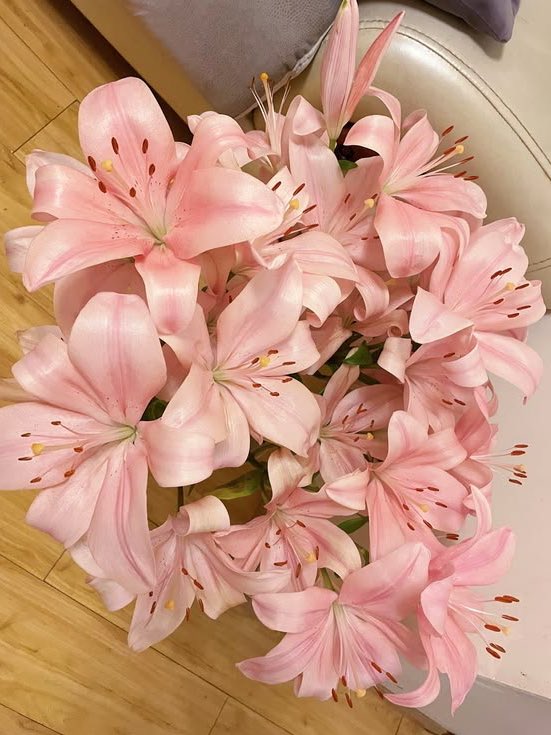 ͏͏͏͏ً tweet media