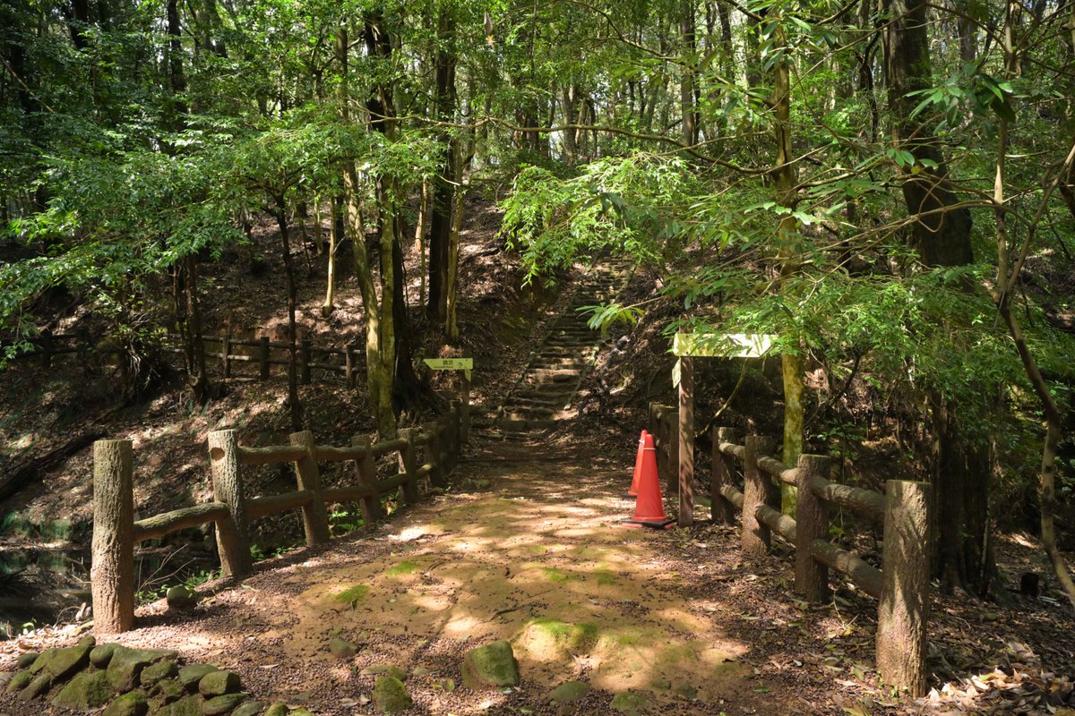 CosMix_Event　コスミク tweet media