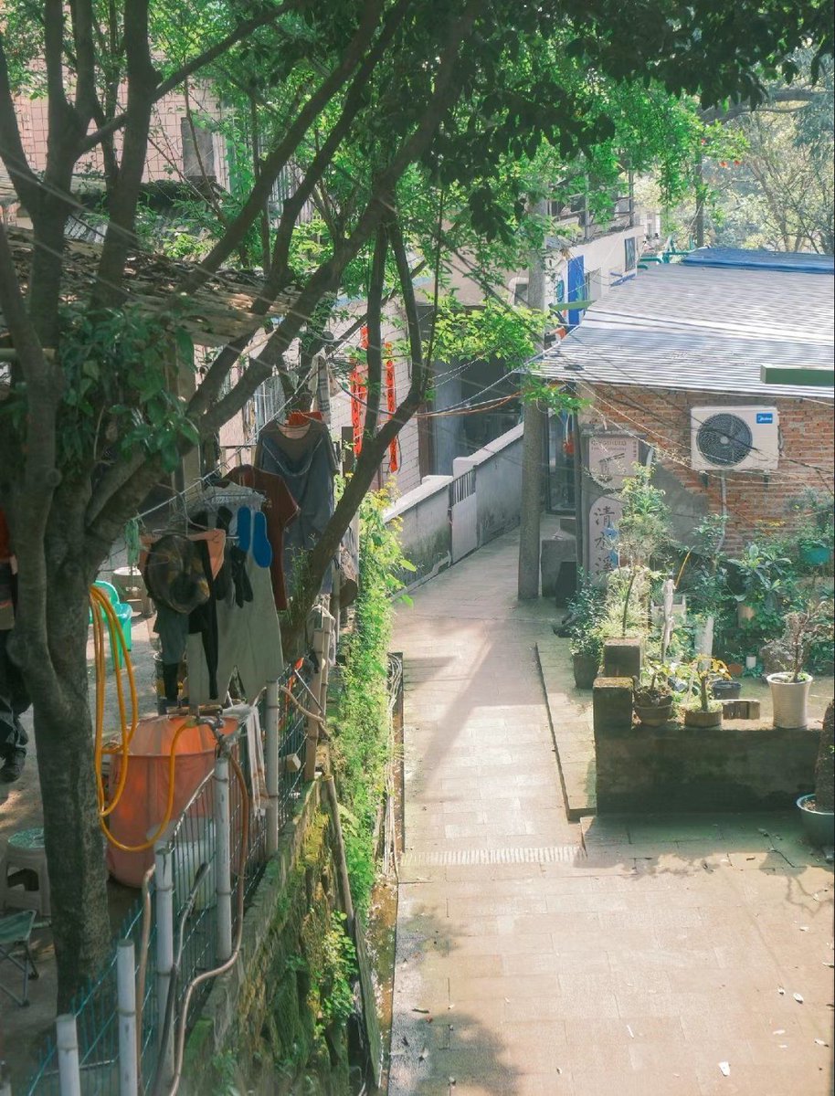 Alex Ros tweet media