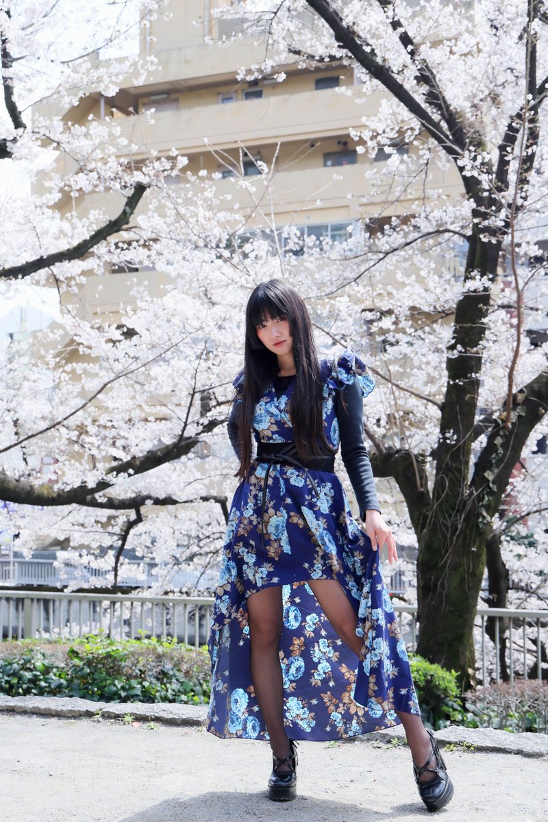 むねりん(烏賊) tweet media