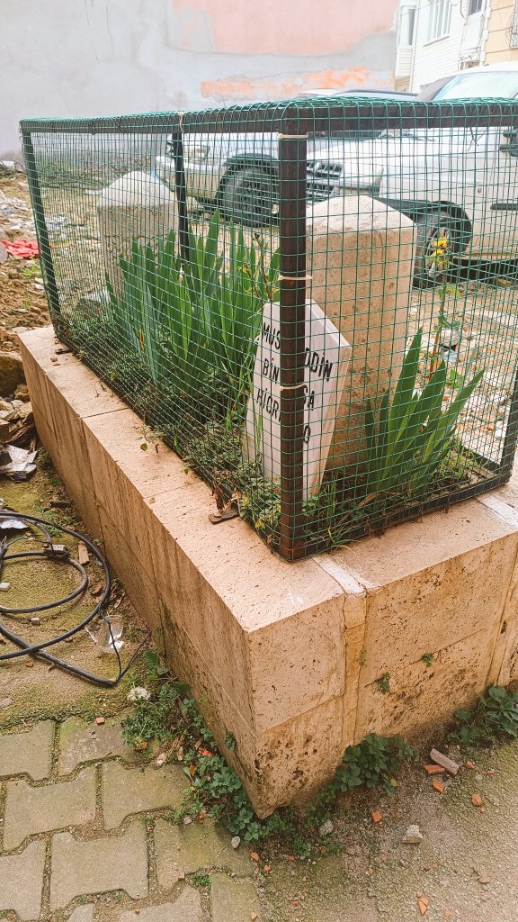 Mustafa Yılmaz tweet media