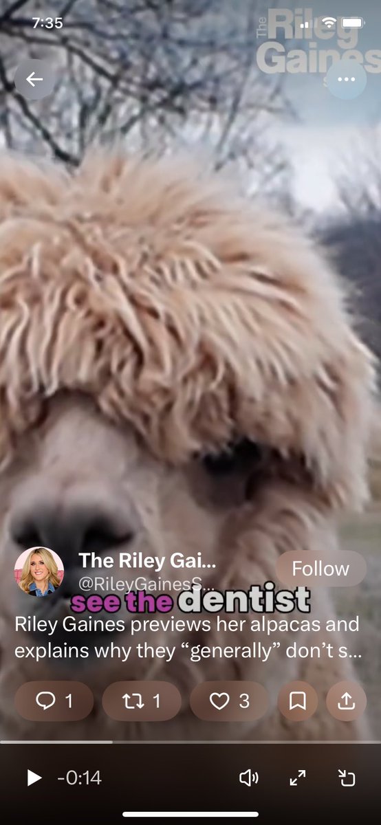 Mike Krunic tweet media