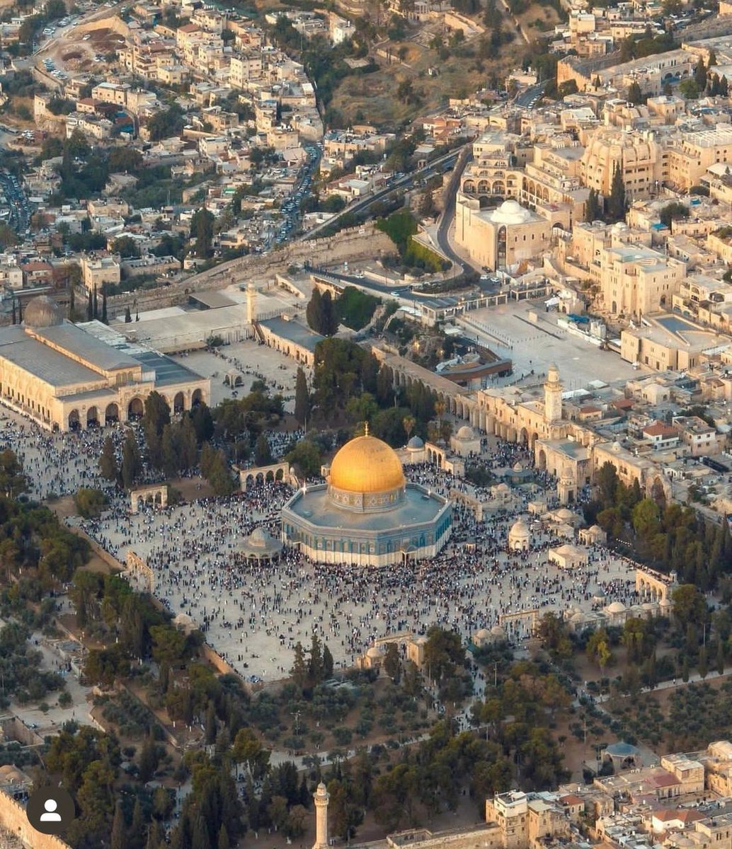 𓂆 عَتيرة tweet media