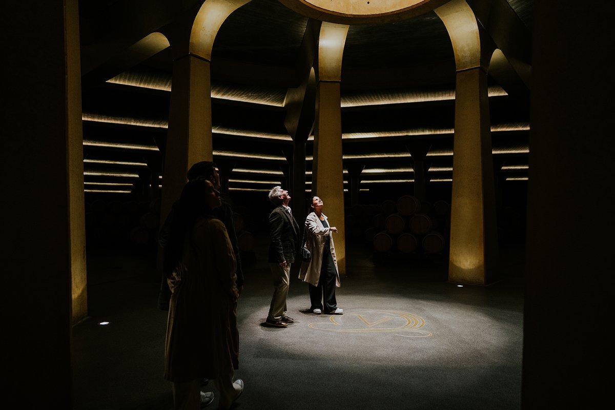 VivancoCulturaDeVino tweet media