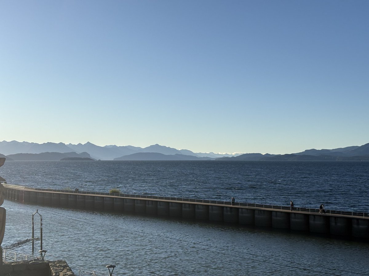 Феерическое тюленеводство tweet media