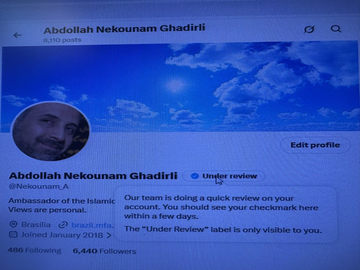 Esta é a liberdade de expressão americana, no estilo Elon Musk. Restringiram minha conta e colocaram um tique azul com a indicação "Em análise".