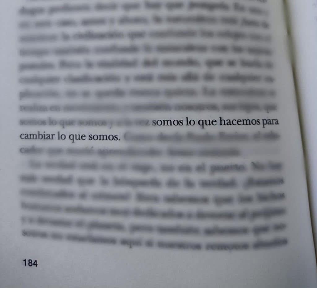 Cementerio De Libros tweet media