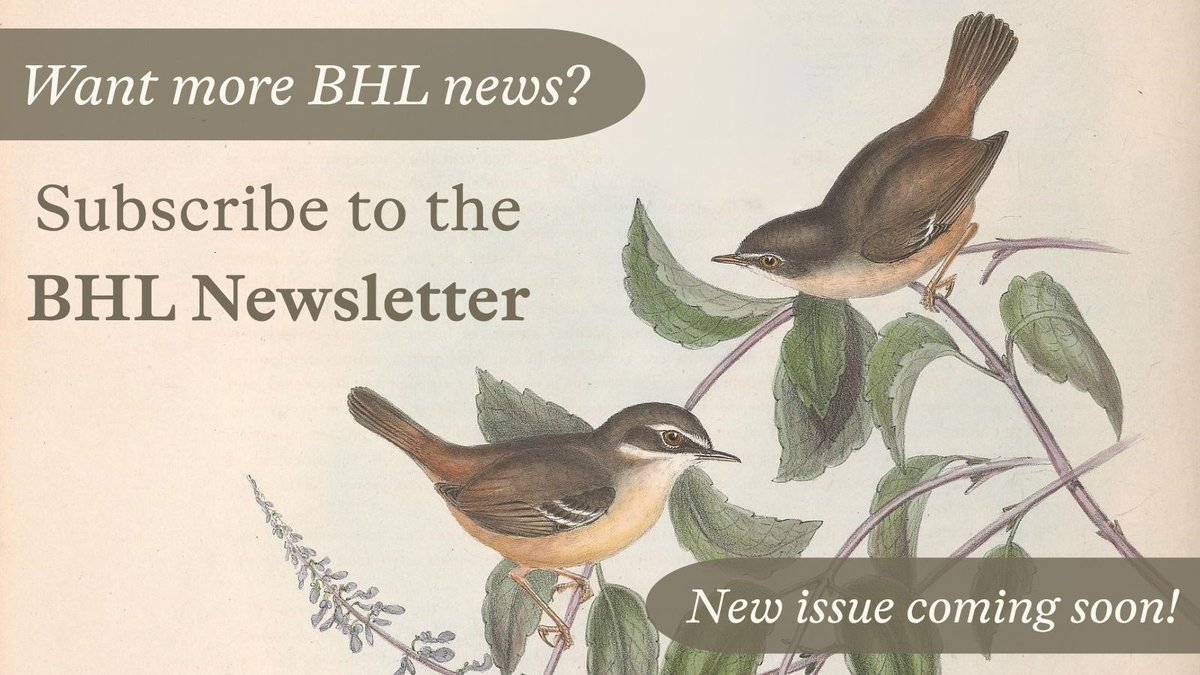 Biodiversity Heritage Library tweet media