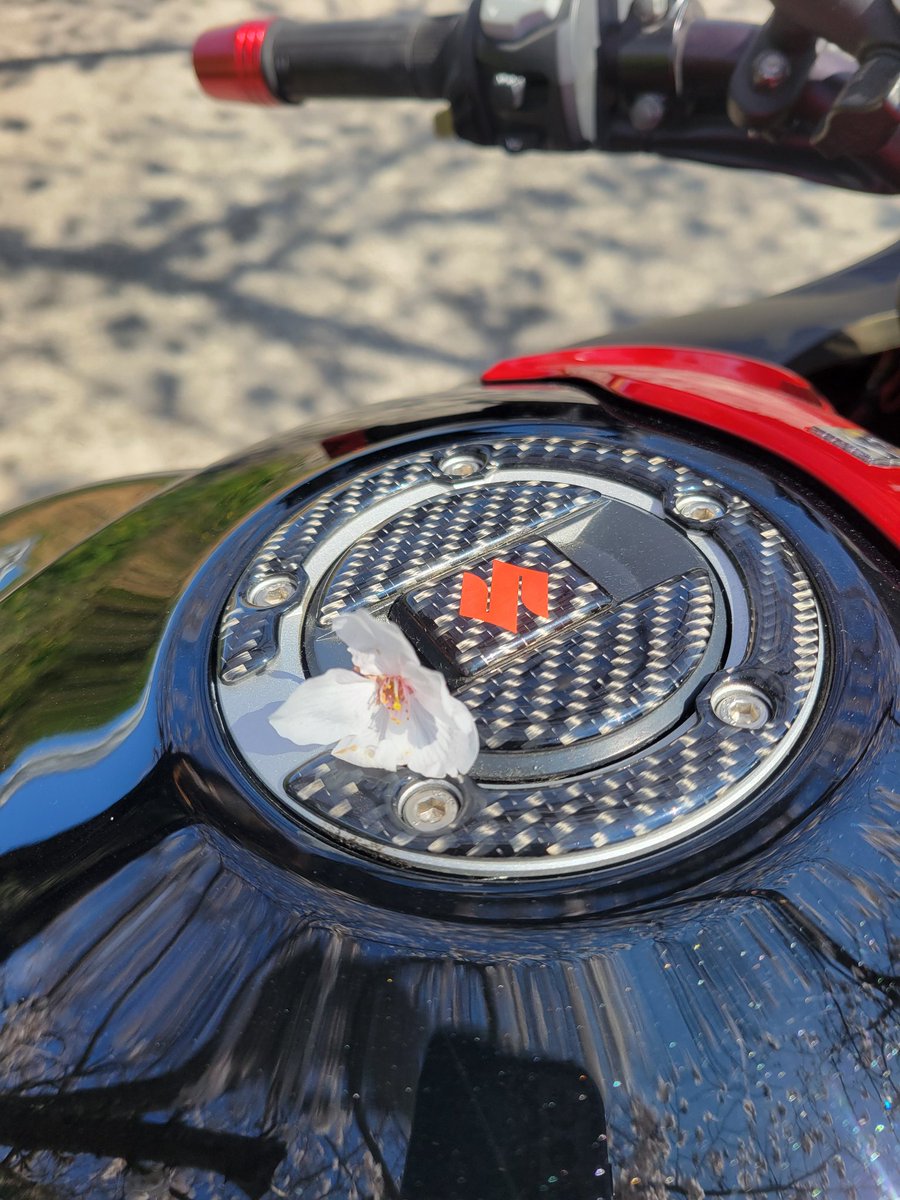 JA07NC39's tweet photo. 桜と青空とGSX-S1000F✨久しぶりの大型の全開加速は恐ろしかった…😂 https://t.co/sDVkr6uxue