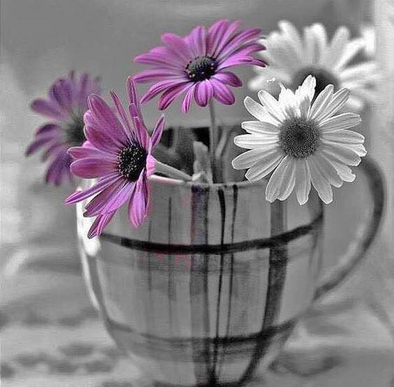 MANOLO EXPÓSITO tweet media