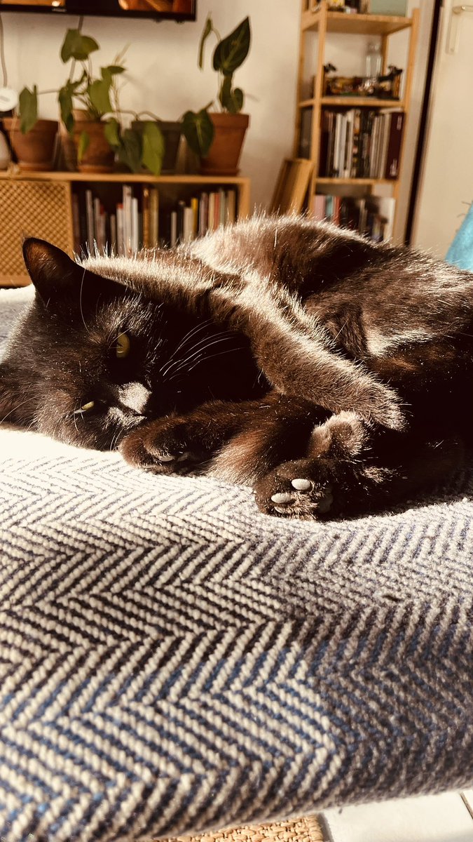 Laura M. 🎈 tweet media