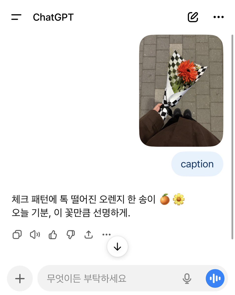 ʙ ʟ ᴜ ᴇ 🥣🫐 tweet media