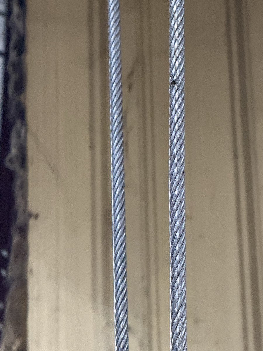odavrog's tweet image. Doing a Temp job at a mold shop &amp;amp; the man using the overhead crane 
didn’t know his wire rope was frayed 
asked him if had any class on it &amp;amp; said no 
#Wirerope #overheadcrane #crane
