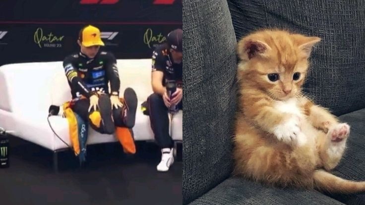 Base umum bisa follow @cornerfess tweet media