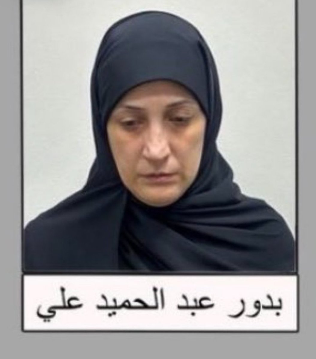 محمد العرب tweet media