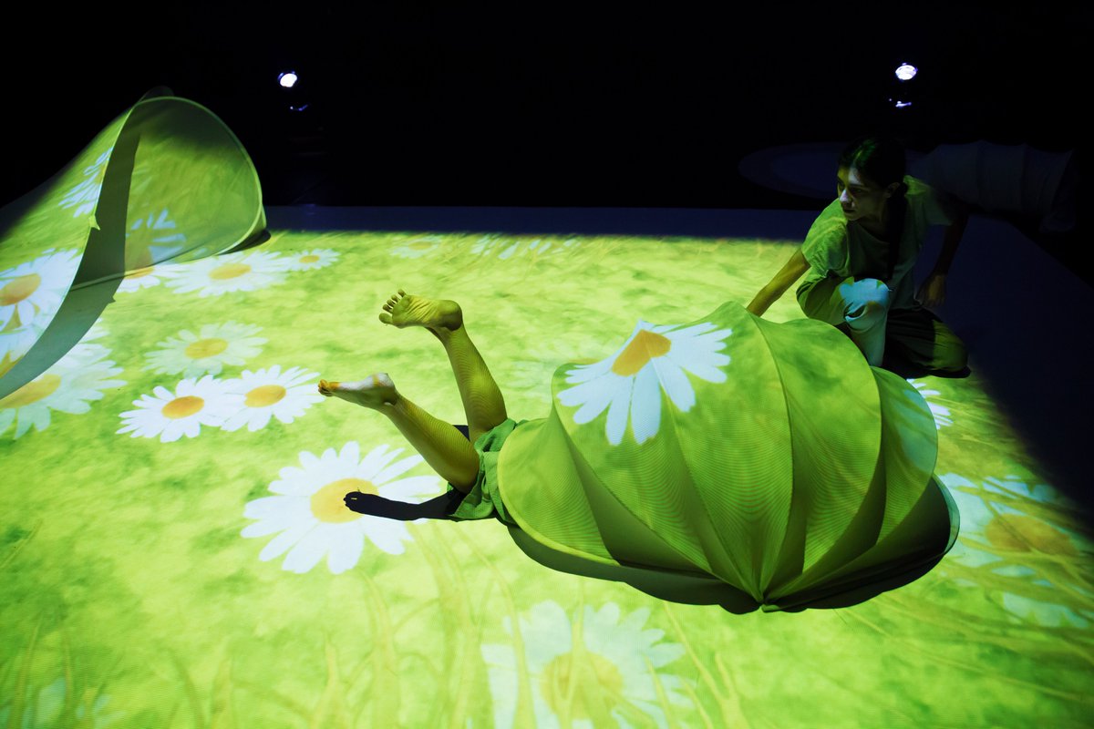 Cultura Venezia tweet media