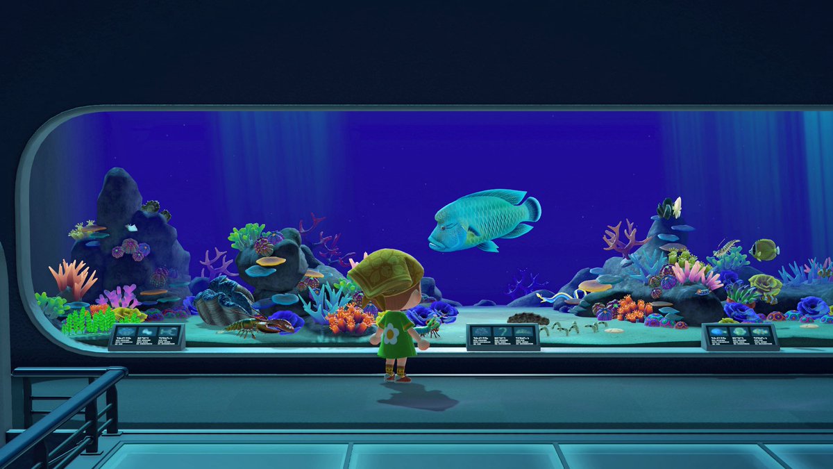 わたるくん🌈 tweet media