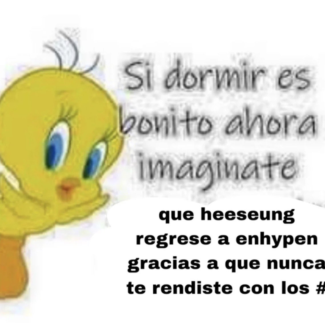 Sofía | Enhypen is 7 tweet media