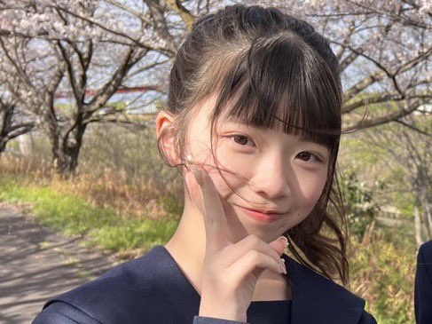 今泉 もか🍙🌷 tweet media