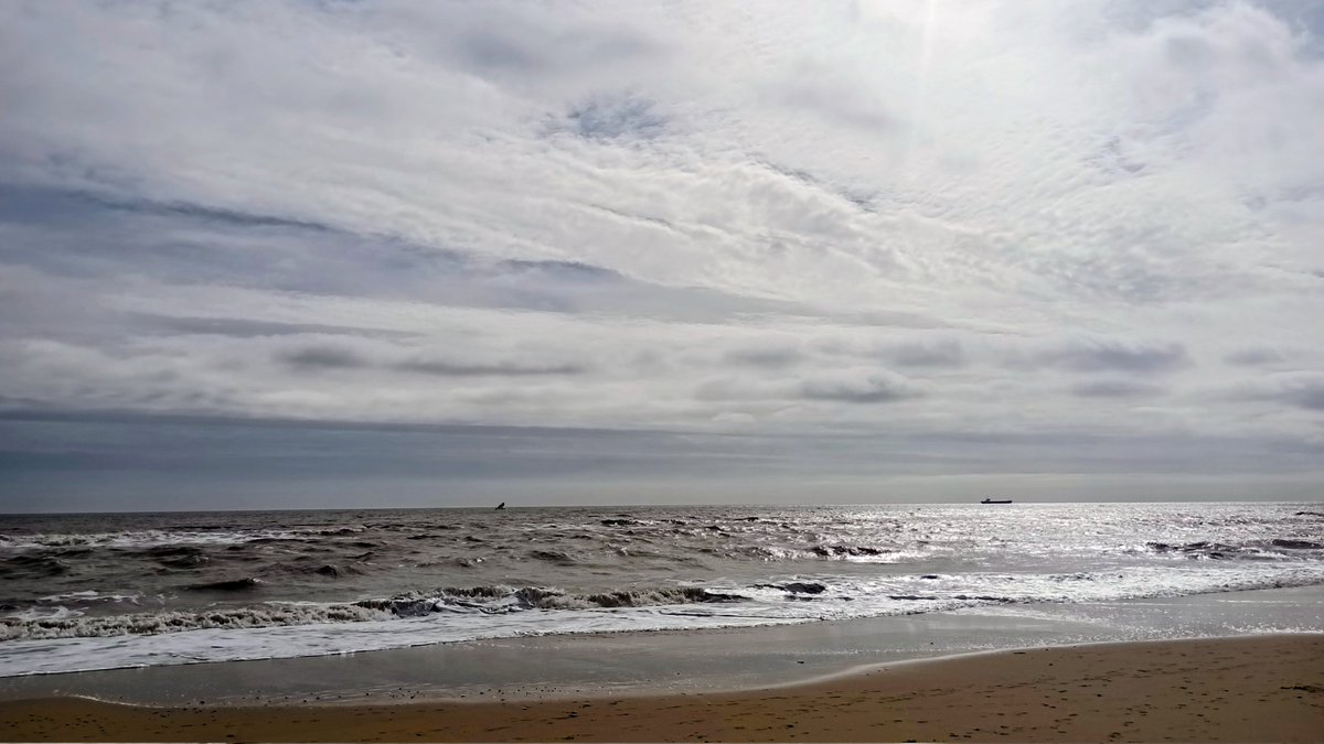 Mark Barden 🇪🇺 tweet media