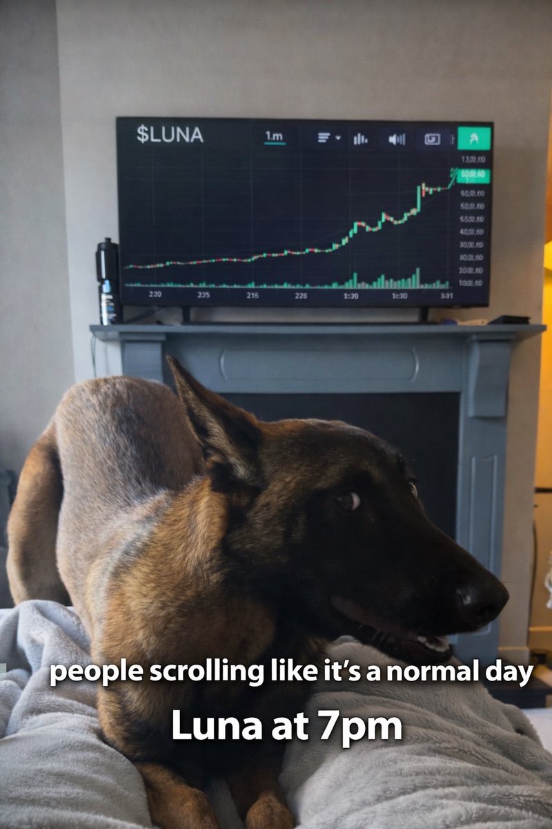 Luna 🐕 Solana’s Lunatix tweet media