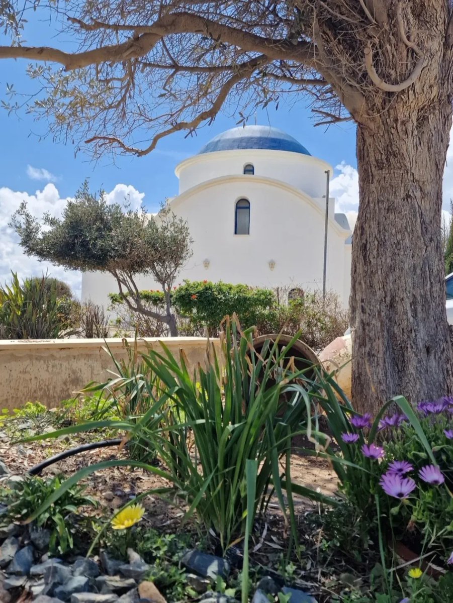 VisitCyprus tweet media