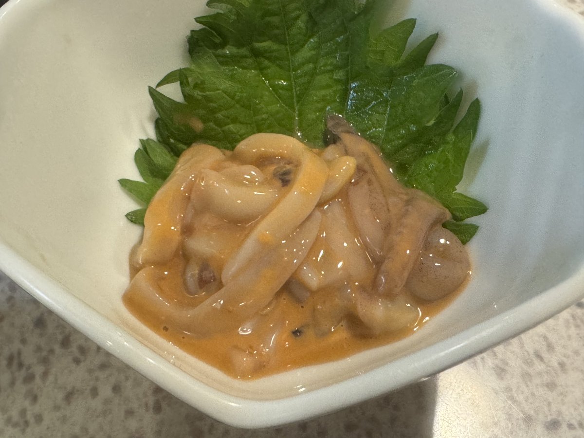 🍺こう🦎🍻🍢 tweet media