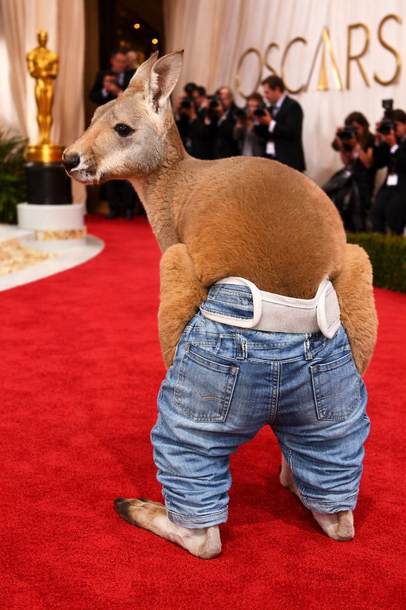 The Heat tweet media