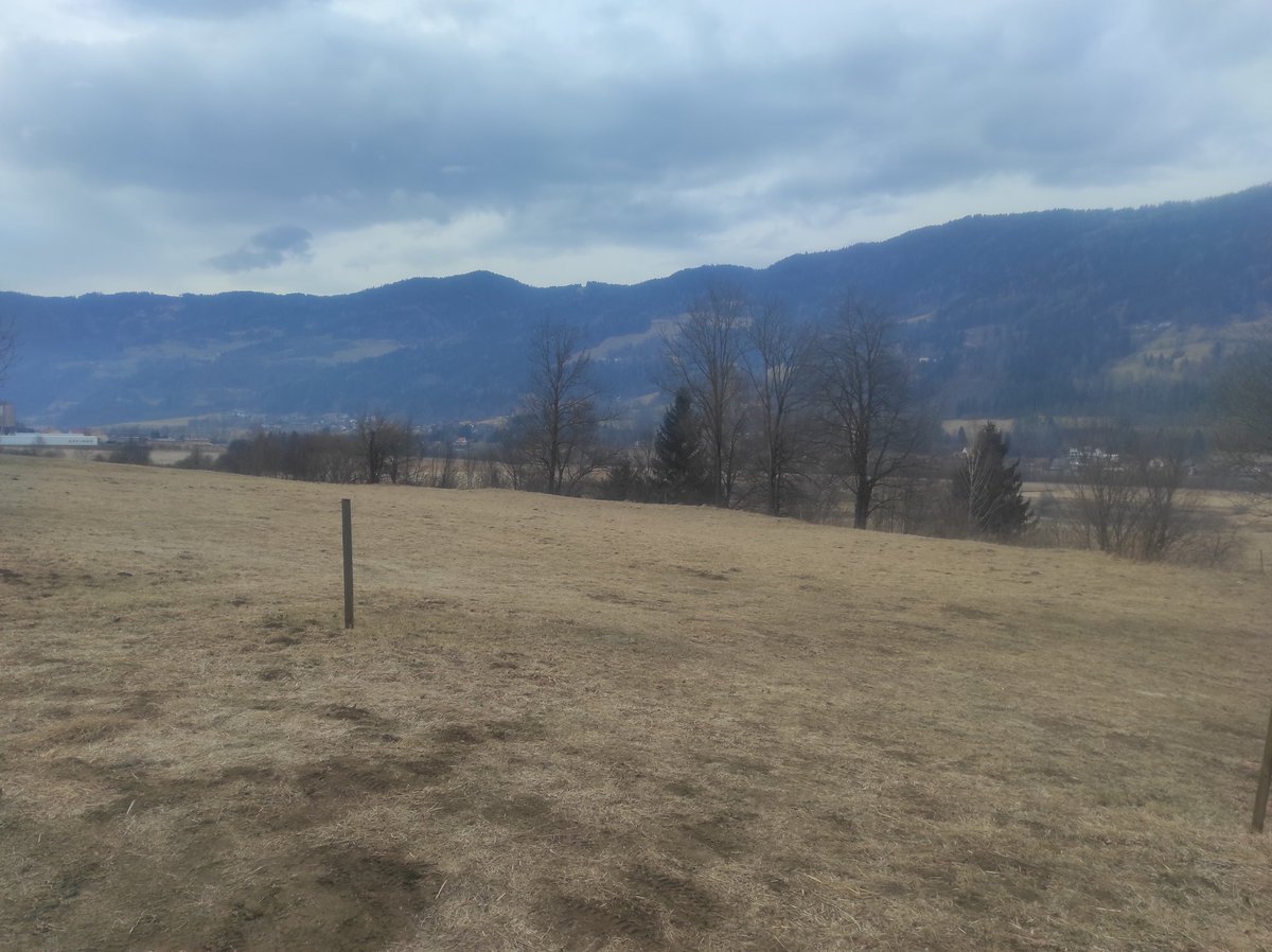 🏍️🎹System 333🕊️💙❎🤡 tweet media