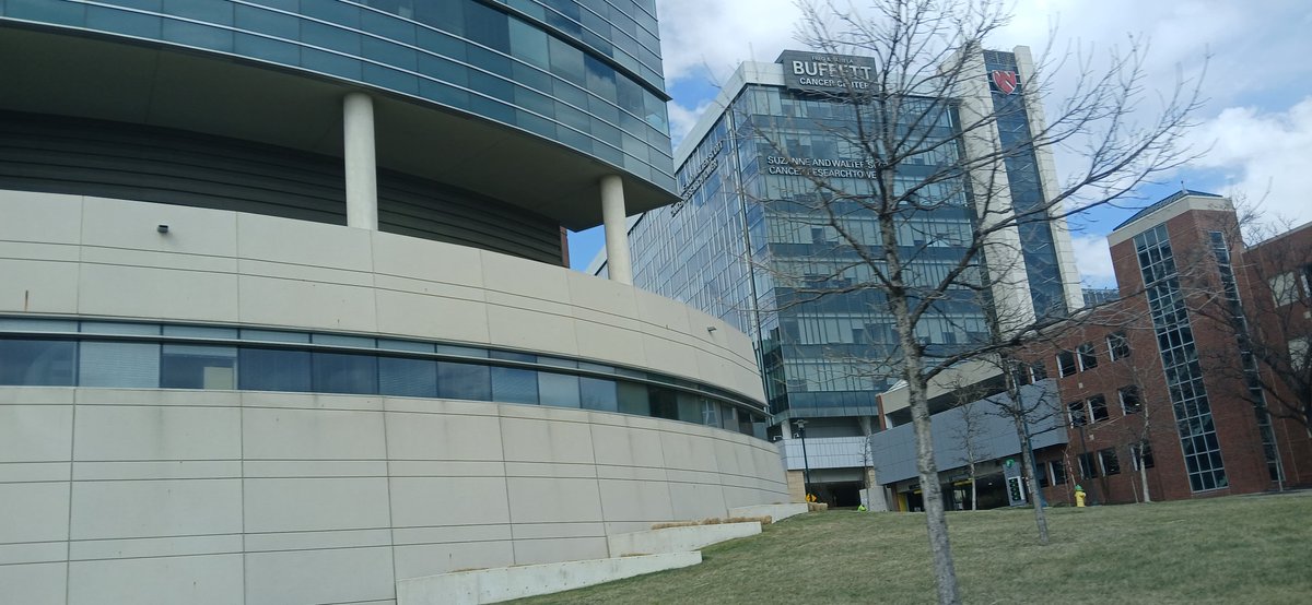 Bravo-Cordero Lab tweet media