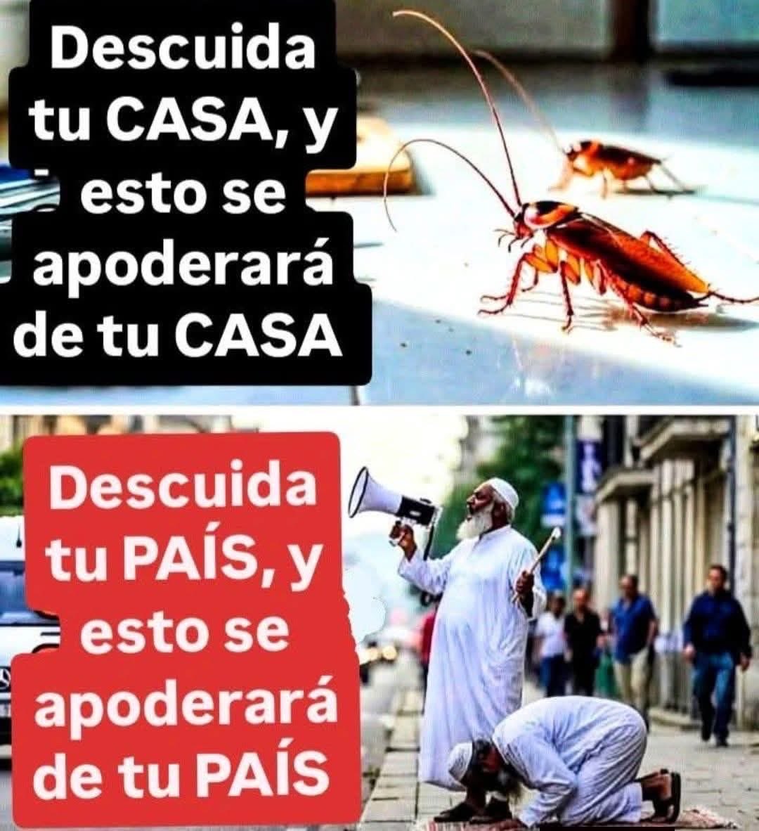 jodt_panther tweet media