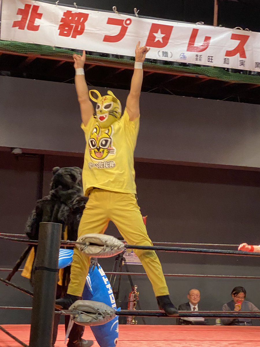 てんドン tweet media