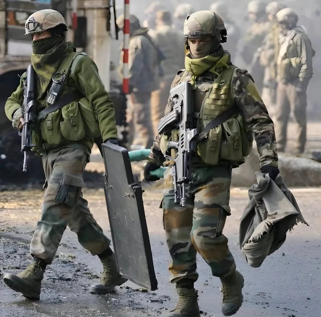 UnitedFairy tweet media