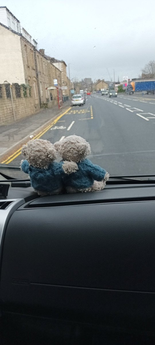 Mr T Bear tweet media