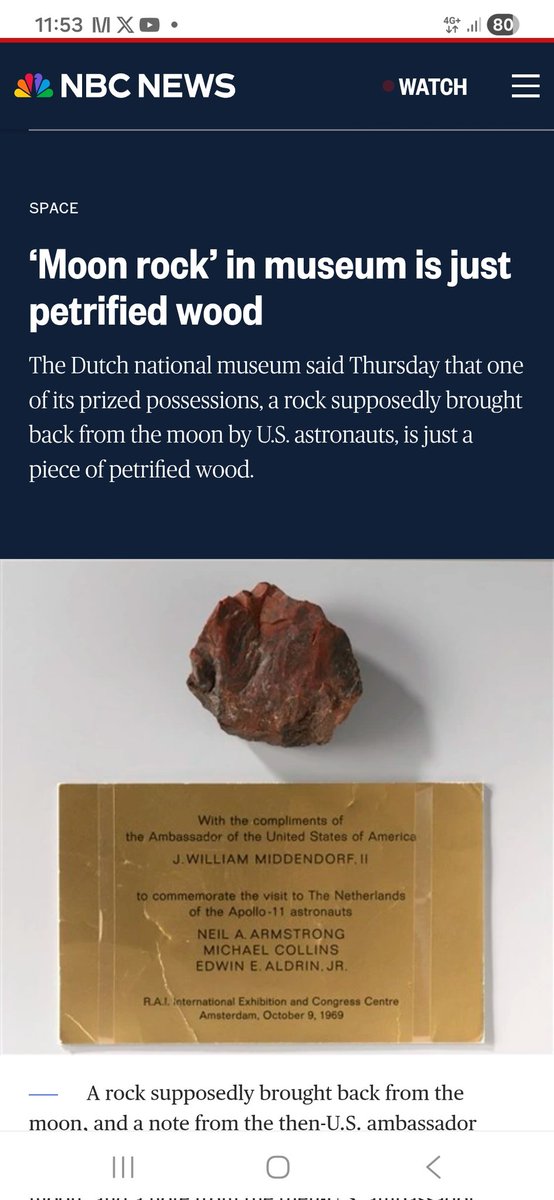 Jungle Angelo 🚂 tweet media